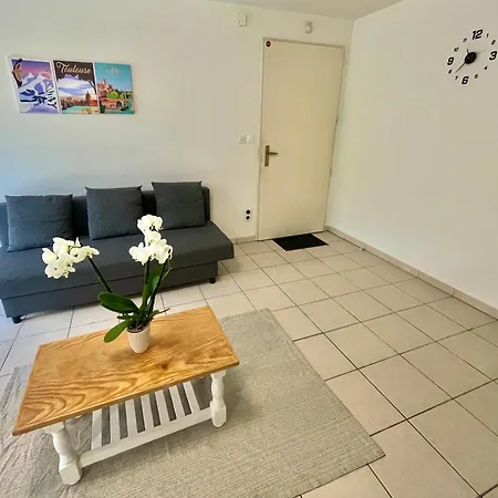 Le Petit Nid Muretain  Arrivée Autonome - Wifi Muret